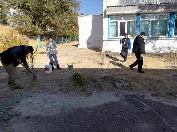 "Тал отырғызу" акциясы