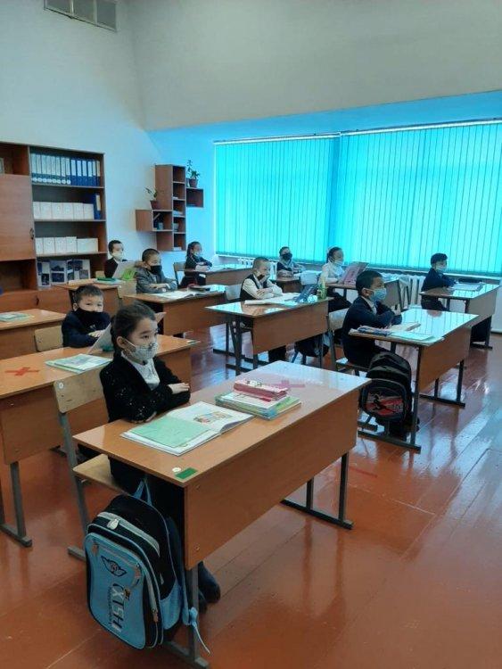 "Шебердің бізі ортақ- шешенің сөзі ортақ"